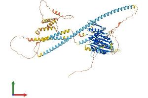 Protein Structure (PS) image for Kinesin Family Member C2 (KIFC2) (AA 1-792) protein (His tag) (ABIN7562188)