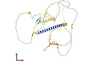 Protein Structure (PS) image for TSC22 Domain Family, Member 4 (TSC22D4) (AA 1-387) protein (His tag) (ABIN7561405)