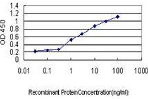 Detection limit for recombinant GST tagged GLRX is approximately 0. (Glutaredoxin 1 抗体  (AA 1-106))