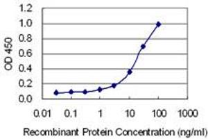Detection limit for recombinant GST tagged CUX2 is 0. (CUX2 抗体  (AA 121-220))