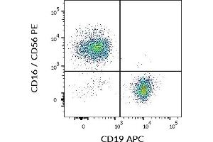 Flow cytometry multicolor surface staining of human CD3 negative lymphocytes using anti-human CD19 (LT19) APC and anti-human CD16 / CD56 (3G8 / LT56) PE antibodies. (CD19 抗体  (APC))