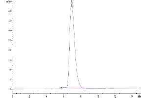Size-exclusion chromatography-High Pressure Liquid Chromatography (SEC-HPLC) image for Carcinoembryonic Antigen-Related Cell Adhesion Molecule 6 (CEACAM6) (AA 35-320) protein (His-Avi Tag) (ABIN7274029)