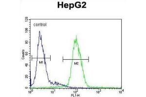 Flow Cytometry (FACS) image for anti-Ceruloplasmin (Ferroxidase) (CP) antibody (ABIN3003152) (Ceruloplasmin 抗体)