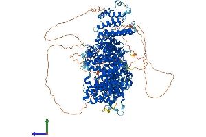 Protein Structure (PS) image for Stromal Antigen 2 (STAG2) (AA 1-1231) protein (His tag) (ABIN7555651)