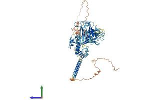 Protein Structure (PS) image for Membrane Frizzled-Related Protein (MFRP) (AA 1-584) protein (His tag) (ABIN7559566)