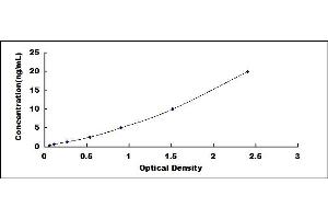 Typical standard curve (Glutathione Peroxidase 2 ELISA 试剂盒)