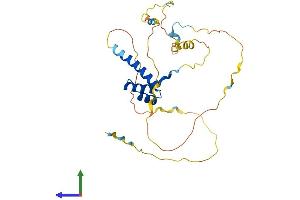 Protein Structure (PS) image for Pancreatic and Duodenal Homeobox 1 (PDX1) (AA 1-284) protein (His tag) (ABIN7563425)