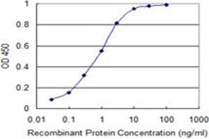 Detection limit for recombinant GST tagged FGD3 is 0. (FGD3 抗体  (AA 83-173))