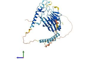 AlphaFold protein structure predicition of Mouse Recombinant Rnf135 Protein, UniprotID Q9CWS1