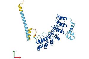 Protein Structure (PS) image for Ankyrin Repeat and SOCS Box-Containing 11 (ASB11) (AA 1-323) protein (His tag) (ABIN7552344)