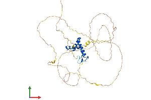 AlphaFold protein structure predicition of Human Recombinant SOX11 Protein, UniprotID P35716 (SOX11 Protein (AA 1-441) (His tag))