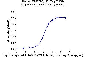 Immobilized Human GUCY2C, hFc Tag at 1 μg/mL (100 μL/well) on the plate. (GUCY2C Protein (AA 24-430) (Fc Tag))