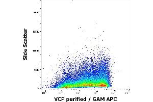 Flow cytometry intracellular staining pattern of human sperm cells stained using anti-VCP (Hs-14) purified antibody (concentration in sample 9 μg/mL) GAM APC. (VCP 抗体)