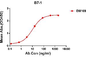 ELISA plate pre-coated by 2 μg/mL (100 μL/well) Human B7-1 protein, hFc tagged protein ((ABIN6961158, ABIN7042345 and ABIN7042346)) can bind Rabbit anti-B7-1 monoclonal antibody(clone: DM109) in a linear range of 0. (CD80 抗体  (AA 35-242))