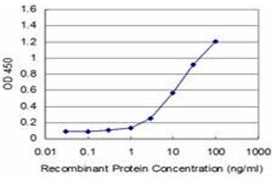 Detection limit for recombinant GST tagged EN1 is approximately 1ng/ml as a capture antibody. (EN1 抗体  (AA 266-392))