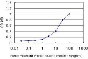 Detection limit for recombinant GST tagged USH1C is approximately 0. (USH1C 抗体  (AA 424-533))