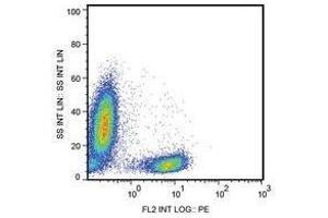 Flow Cytometry (FACS) image for anti-CD28 (CD28) antibody (FITC) (ABIN400892) (CD28 抗体  (FITC))