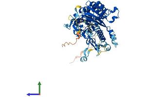 Protein Structure (PS) image for CCR4-NOT Transcription Complex, Subunit 6-Like (CNOT6L) (AA 1-555) protein (His tag) (ABIN7553527)