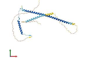 Protein Structure (PS) image for Epithelial Stromal Interaction 1 (Breast) (EPSTI1) (AA 1-314) protein (His tag) (ABIN7559858)