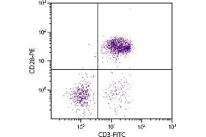 Chicken peripheral blood lymphocytes were stained with Mouse Anti-Chicken CD28-PE. (CD28 抗体  (Biotin))