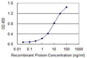 Detection limit for recombinant GST tagged EXOSC3 is 0. (EXOSC3 抗体  (AA 176-274))