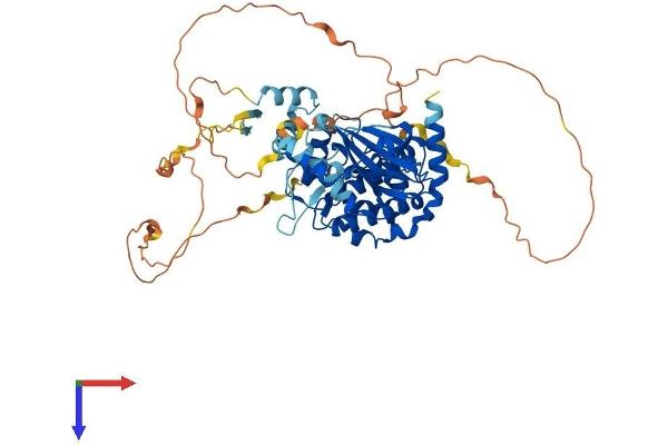 PAK3 Protein (PAK3) (AA 1-559) (His tag)