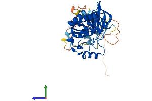 AlphaFold protein structure predicition of Human Recombinant MOS Protein, UniprotID P00540