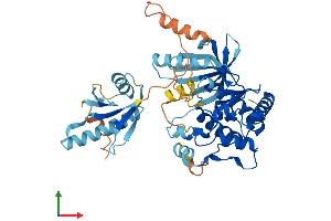 Protein Structure (PS) image for Mitogen-Activated Protein Kinase Kinase 5 (MAP2K5) (AA 1-448) protein (His tag) (ABIN7556336)