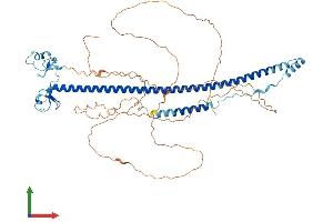 Protein Structure (PS) image for Tripartite Motif Containing 29 (TRIM29) (AA 1-587) protein (His tag) (ABIN7559699)