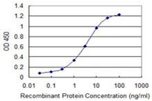 Detection limit for recombinant GST tagged MED15 is 0. (MED15 抗体  (AA 1-88))