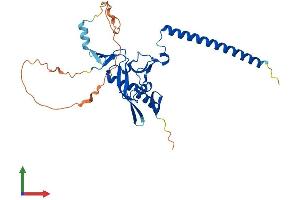 Protein Structure (PS) image for Ras Association (RalGDS/AF-6) Domain Family Member 2 (RASSF2) (AA 1-326) protein (His tag) (ABIN7558777)