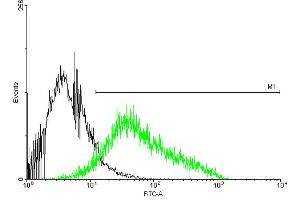 Flow Cytometry (FACS) image for anti-Purinergic Receptor P2X, Ligand-Gated Ion Channel, 4 (P2RX4) (AA 1-388) antibody (ABIN518564)