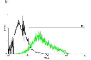 FACS analysis of negative control 293 cells (Black) and P2RX4 expressing 293 cells (Green) using P2RX4 purified MaxPab mouse polyclonal antibody. (P2RX4 抗体  (AA 1-388))