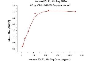 Immobilized Folic Acid-BSA Conjugate at 5 μg/mL (100 μL/well) can bind Human FOLR1, His Tag (ABIN6951041,ABIN6952269) with a linear range of 5-78 ng/mL (QC tested).