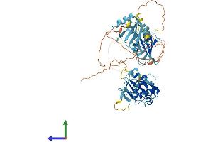 AlphaFold protein structure predicition of Human Recombinant PTBP3 Protein, UniprotID O95758