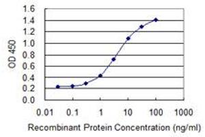 Detection limit for recombinant GST tagged ZNF287 is 0. (ZNF287 抗体  (AA 231-330))