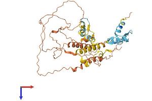 ZNF114 Protein (AA 1-417) (His tag)