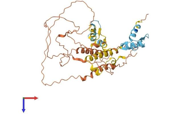 ZNF114 Protein (AA 1-417) (His tag)