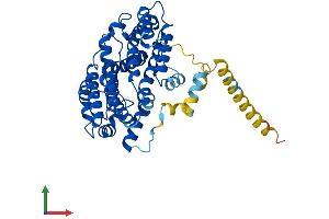 AlphaFold protein structure predicition of Human Recombinant FDFT1 Protein, UniprotID P37268