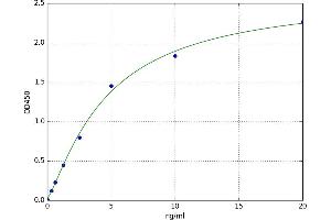 CD28 (CD28) ELISA Kit