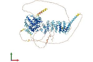 Protein Structure (PS) image for SCY1-Like 2 (SCYL2) (AA 1-929) protein (His tag) (ABIN7555419)