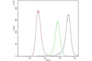 Flow Cytometry (FACS) image for anti-BCL2-Associated X Protein (BAX) (AA 17-48) antibody (ABIN5647494)