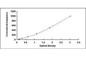 ELISA image for Surfactant Protein A1 (SFTPA1) ELISA Kit (ABIN3164731) (Surfactant Protein A1 ELISA 试剂盒)