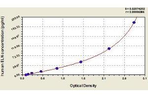 Typical standard curve (Elastin ELISA 试剂盒)