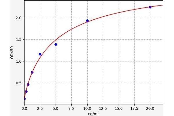 PDCD4 ELISA 试剂盒