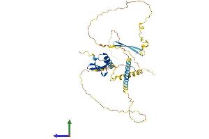 Protein Structure (PS) image for Chromobox Homolog 8 (CBX8) (AA 1-389) protein (His tag) (ABIN7553001)