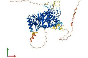 Protein Structure (PS) image for Cytidine and DCMP Deaminase Domain Containing 1 (CDADC1) (AA 1-523) protein (His tag) (ABIN7558763)