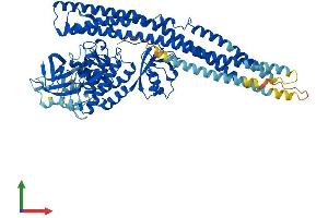 Protein Structure (PS) image for TANK-Binding Kinase 1 (TBK1) (AA 1-729) protein (His tag) (ABIN7555743)