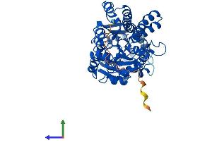 AlphaFold protein structure predicition of Human Recombinant UGDH Protein, UniprotID O60701