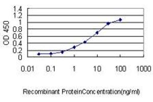 Detection limit for recombinant GST tagged SH3BGRL is approximately 0. (SH3BGRL 抗体  (AA 1-114))